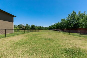 Dog park